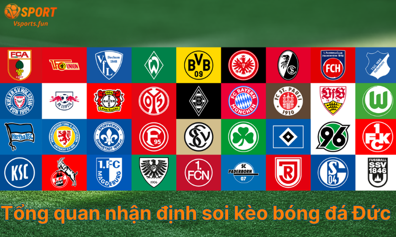 Nhận Định Soi Kèo Bóng Đá Đức - Tỷ lệ và cách soi kèo chuẩn