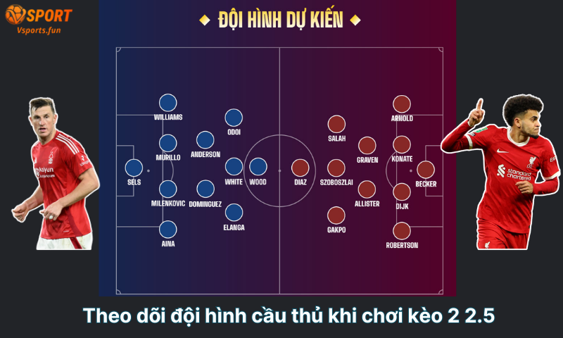 Kèo tài xỉu 2 2.5 là gì? Hướng dẫn chi tiết trong 5 phút cho người mới