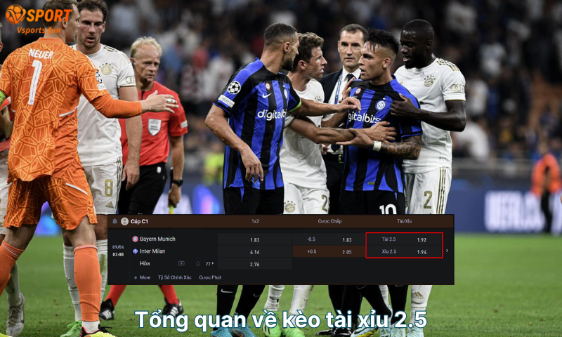 Kèo tài xỉu 2.5 là gì? 3 điều cơ bản bạn cần biết