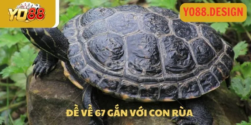Đề về 67 chốt ngay số gì cho ngày mai thắng lớn Đề về 67 chốt ngay số gì cho ngày mai thắng lớn