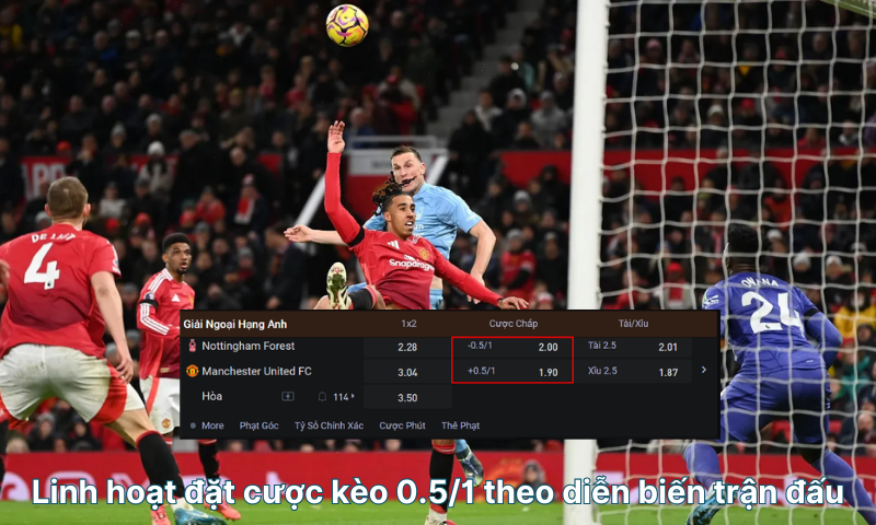Kèo chấp 0.5/1 là gì? Cách tính tiền & 5 mẹo chơi hiệu quả