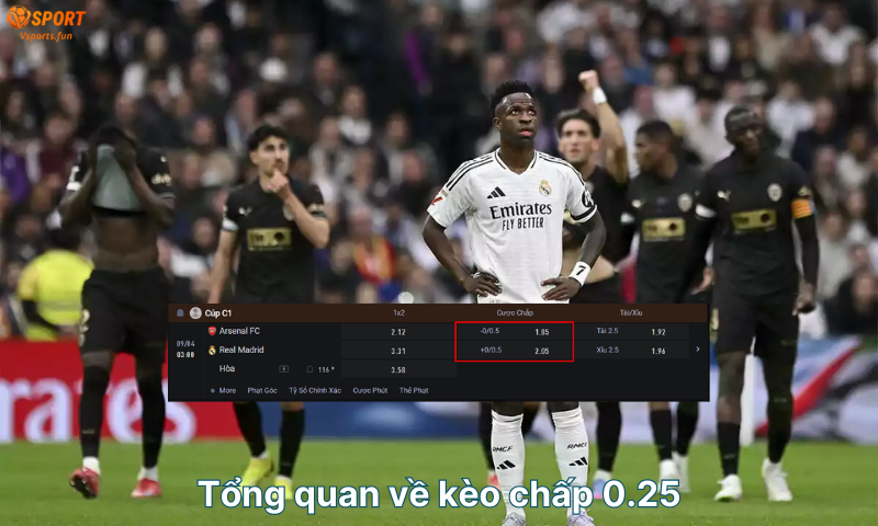 Kèo chấp 0.25. Kèo chấp 0.25 là gì? 3 điều quan trọng cần biết