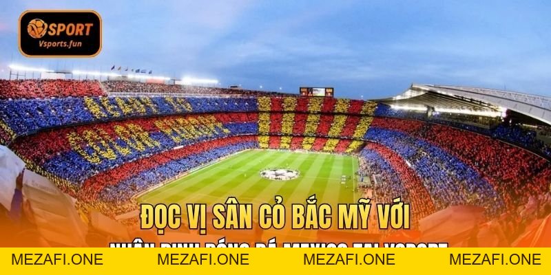 Đọc Vị Sân Cỏ Bắc Mỹ Với Nhận Định Bóng Đá Mexico Tại Vsport